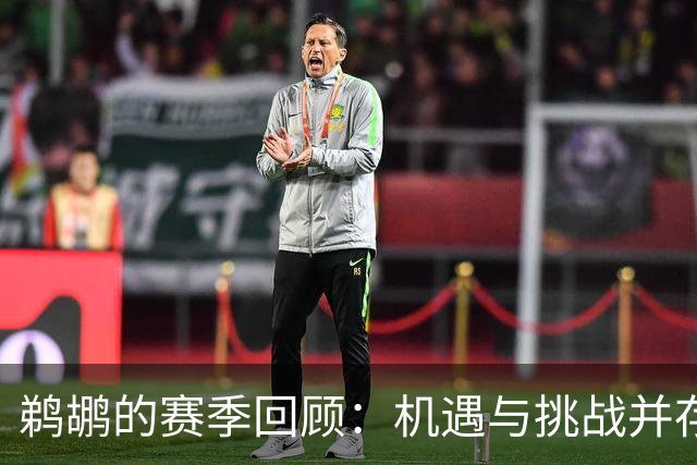 鹈鹕的赛季回顾：机遇与挑战并存